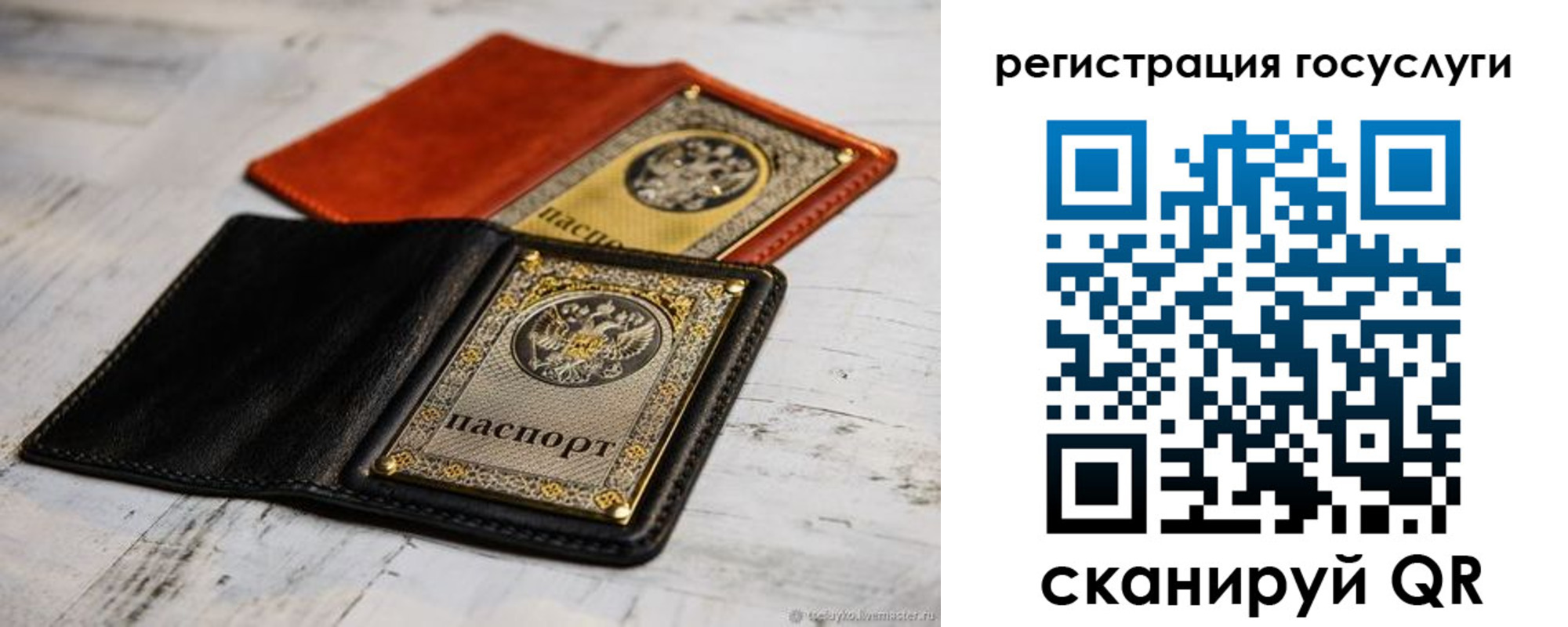 временная регистрация надежно в Мончегорске